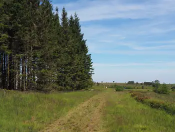 Signal de Botrange (België)